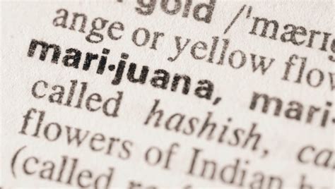 The Weed Dictionary: Stoner Meaning Slang Explained.